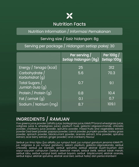 Dtox Fiber